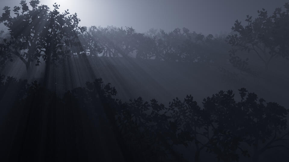 The Forest WIP - Flora's Magical World