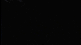 Miscellaneous Walking - Flora's Magical World